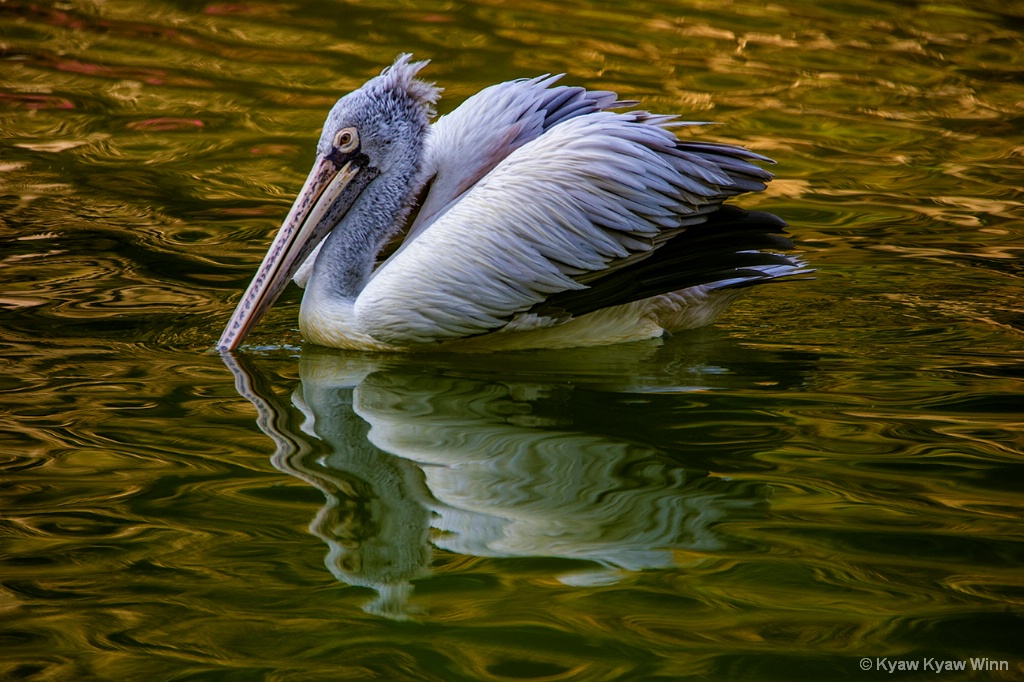 Color of Reflection