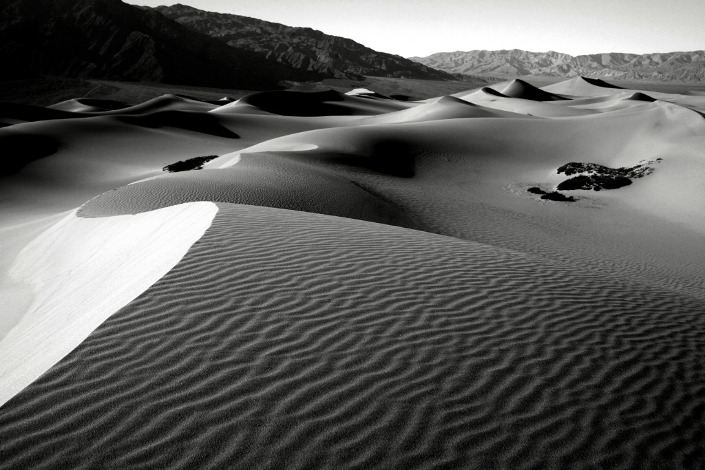 Dune at Dawn