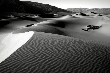 Dune at Dawn