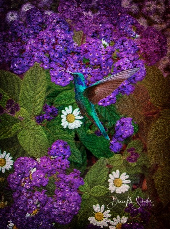 Heliotrope and Hummingbird