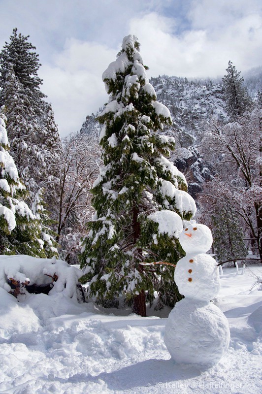 Snowman's Backyard - ID: 15702448 © Kelley J. Heffelfinger