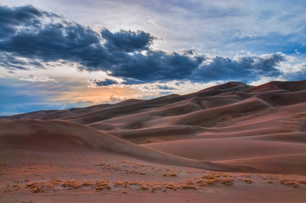 Barren Landscape