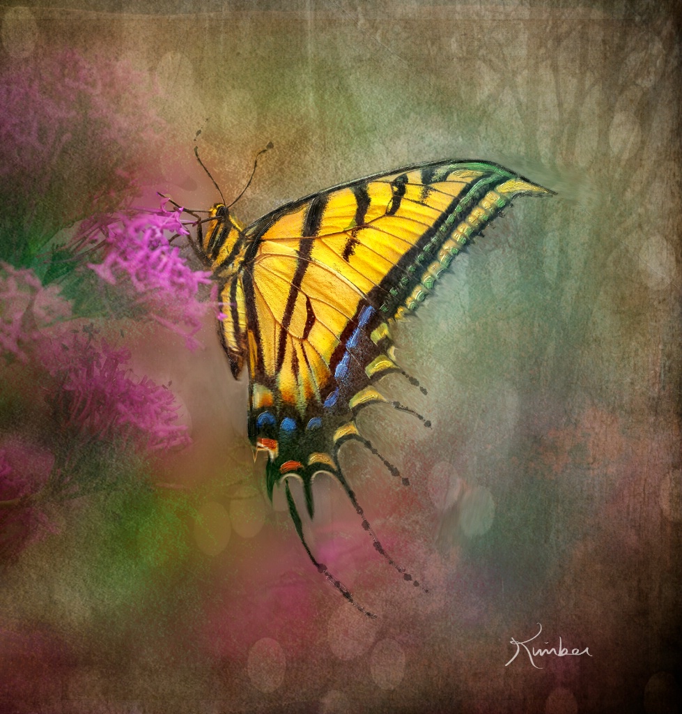 Butterfly Imagined