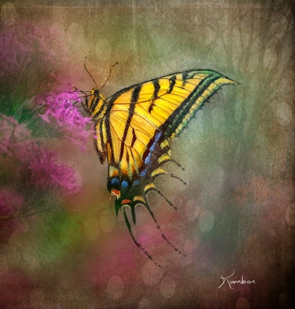 Butterfly Imagined