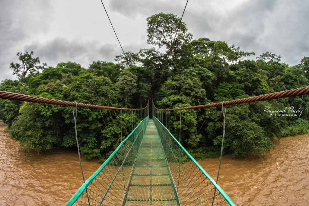 Suspended Bridge Over Sarapiquí River