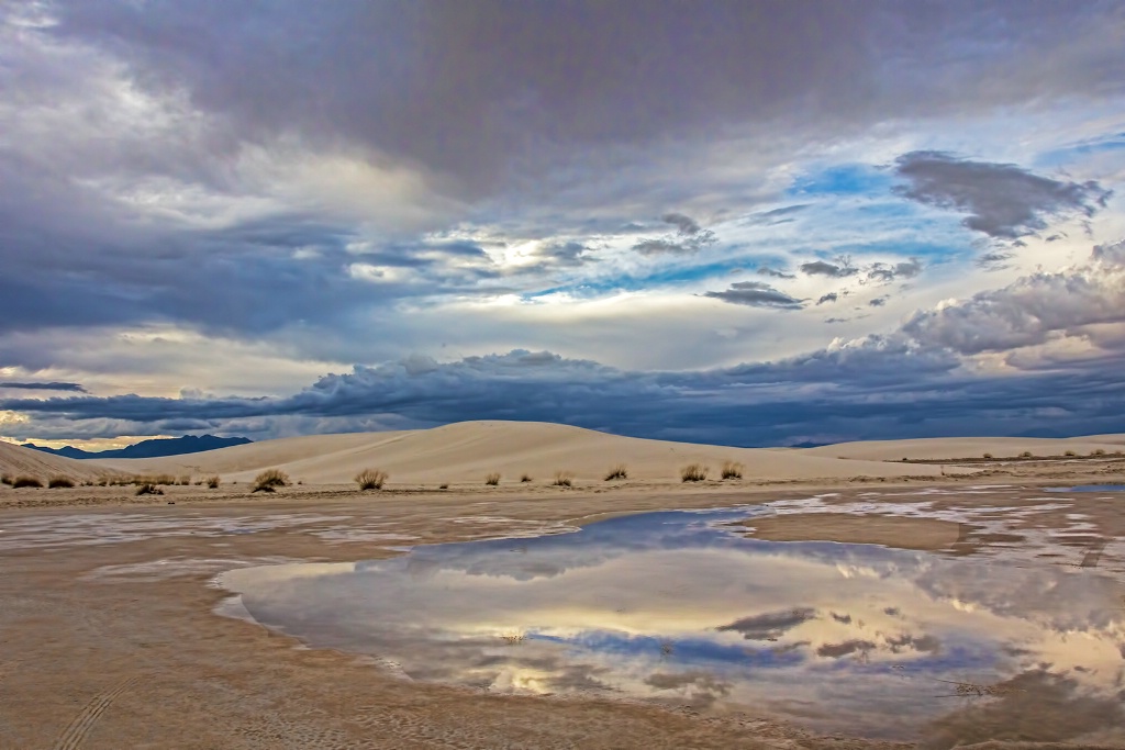 Desert Reflections  