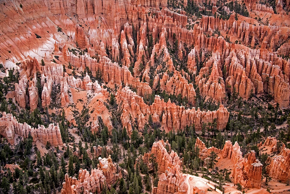The Hoodoos at Bryce Canyon - ID: 15703670 © William S. Briggs