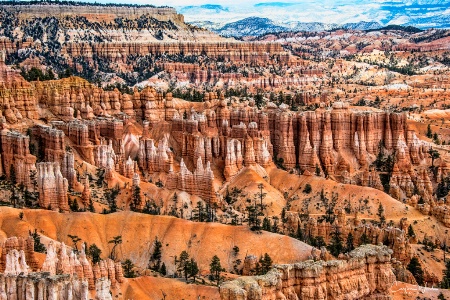 Bryce Canyon 1216a