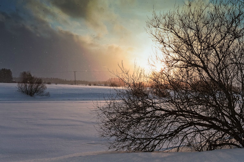 Sunset In The Snowfall