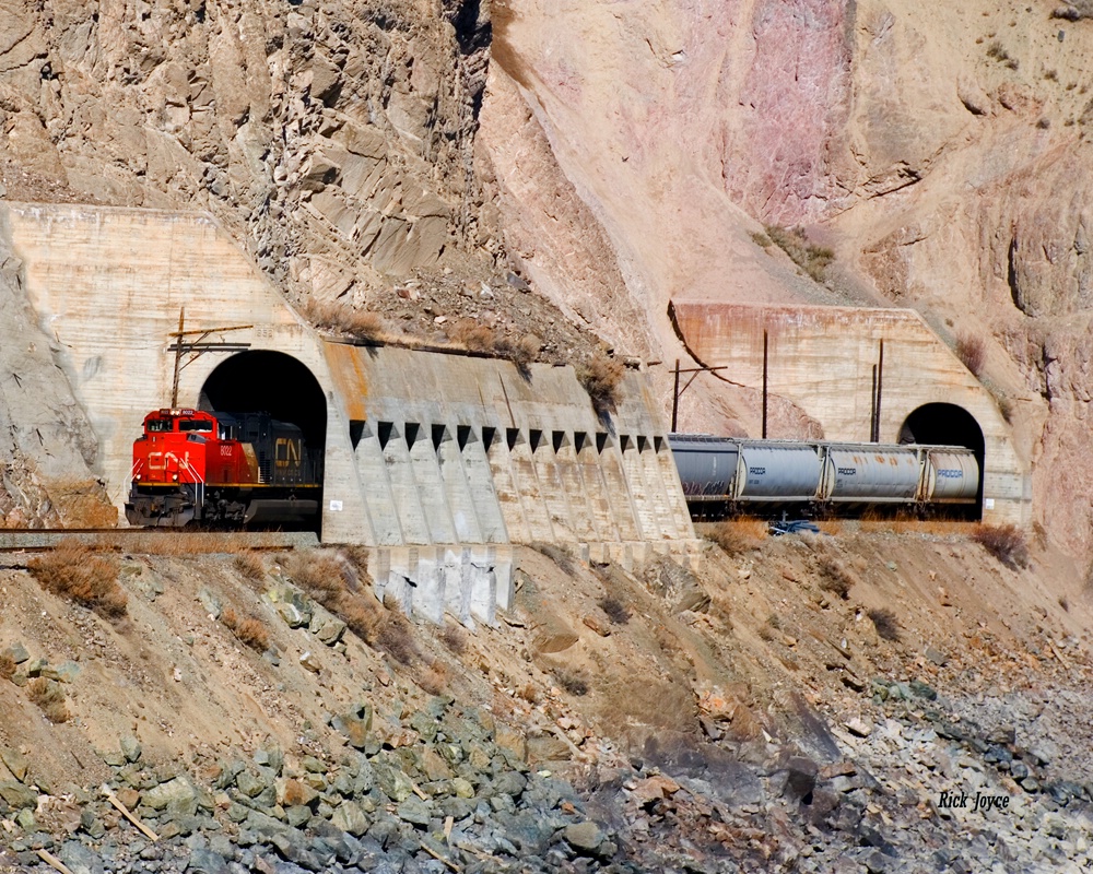 Canadian National Freight Train 