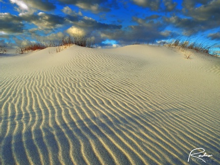 Gulf Islands Dune