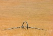 Irrigation Wheel 