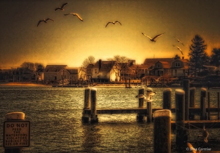 Hyannis Harbor