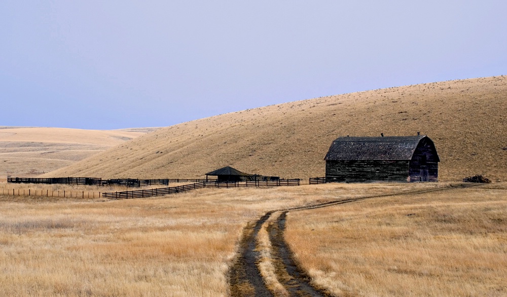 Abandoned Ranch