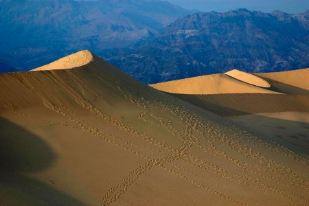 the shape of sand... 