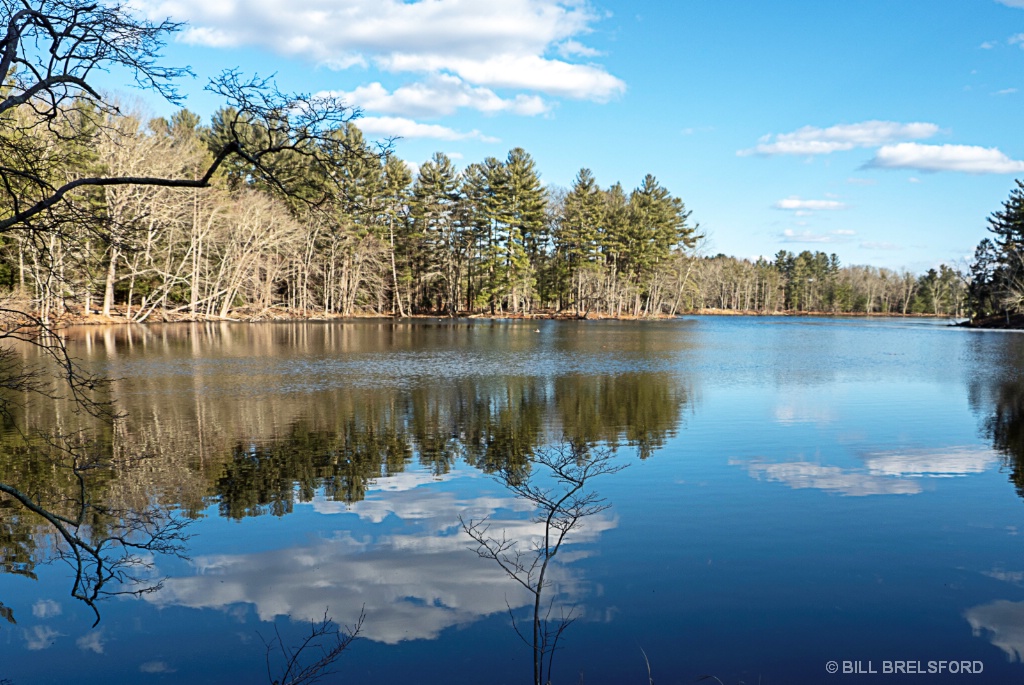 LAKE VIEW