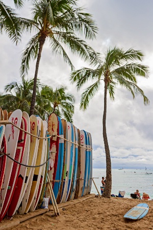 Board Meeting - Hawaiian Style