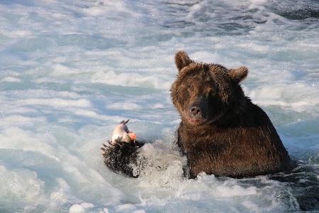Good Catch