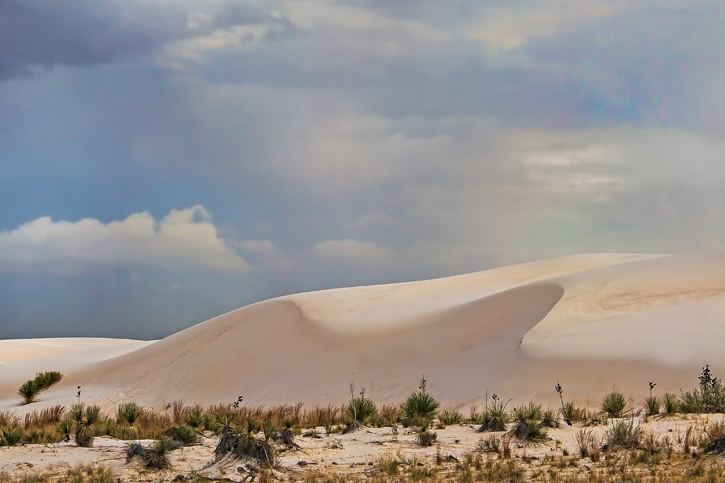 White Sands Dunes  