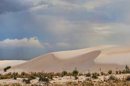White Sands Dunes  