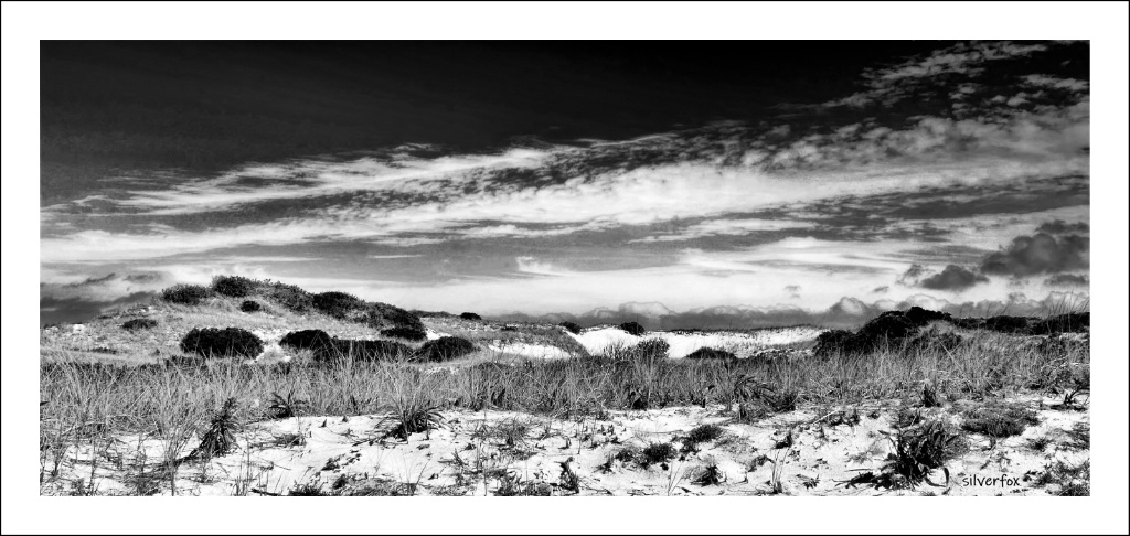 Dunes on the Cape