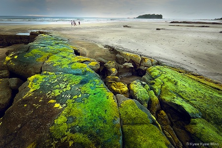 Green On Rocks