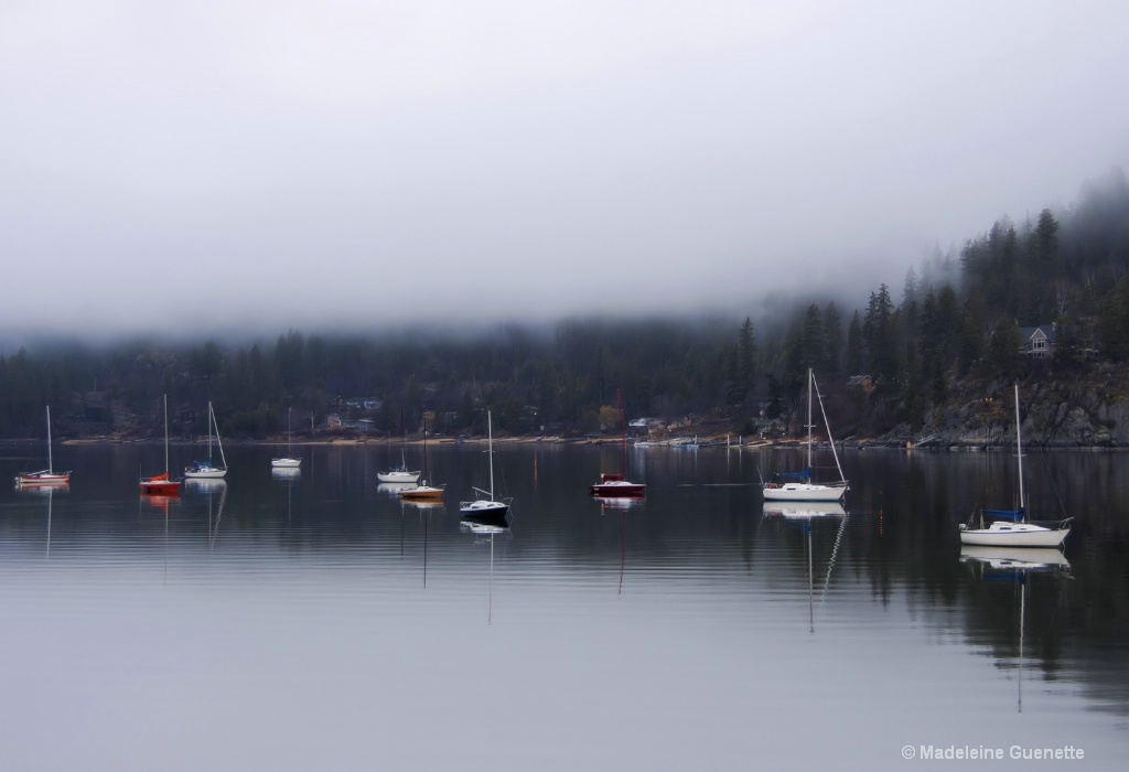 Fog on the lake 