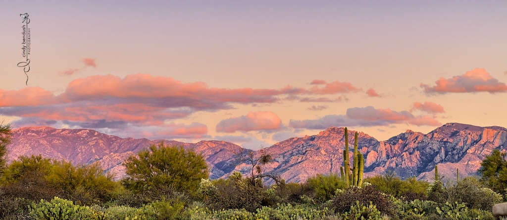 Purple Mountains