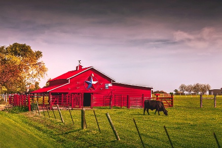 Rural Texas