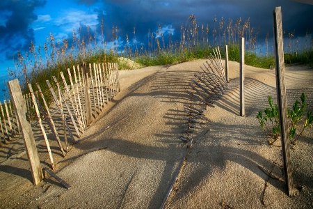 OBX Dune