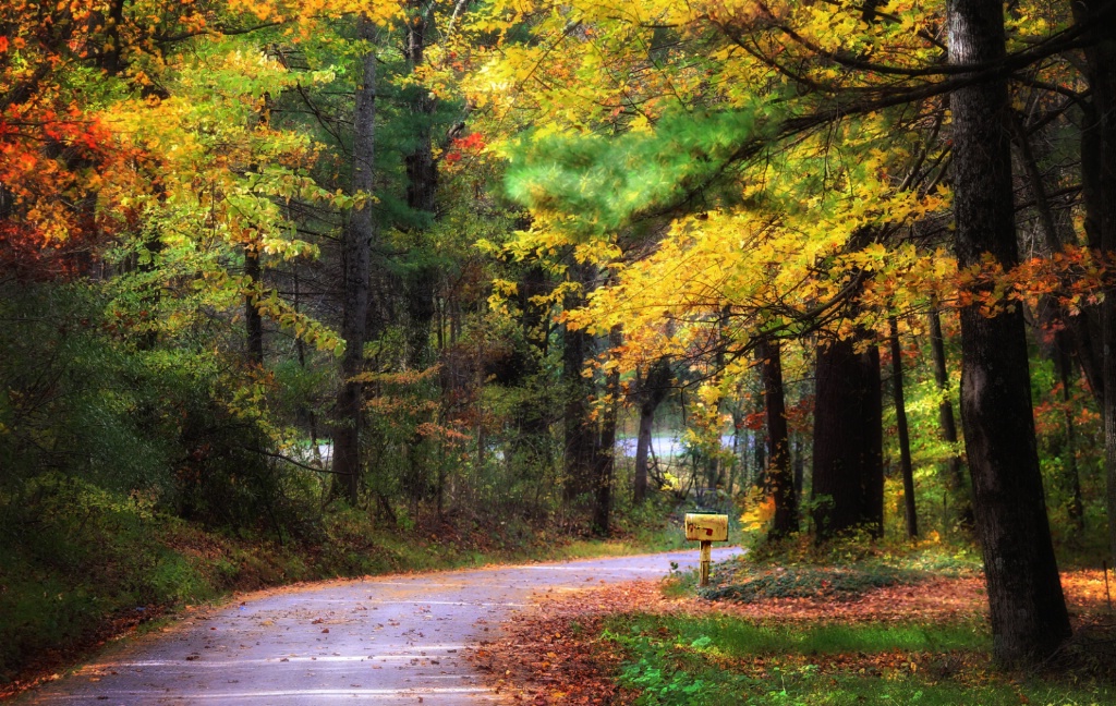 Yellow Mailbox 