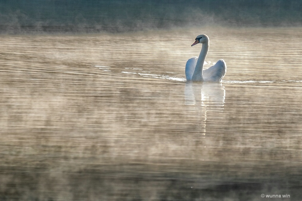 nature beauty 