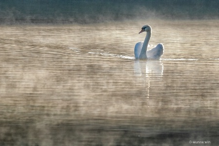 nature beauty 