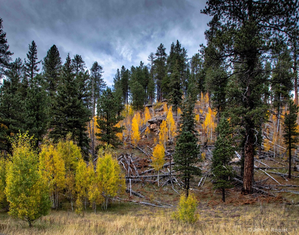 North Rim Fall colors - ID: 15709531 © John A. Roquet