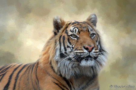 Artistic Tiger