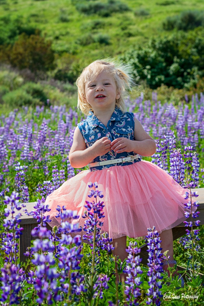 Lovely Little Wildflower