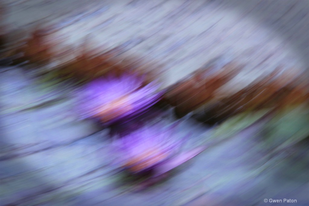 img20