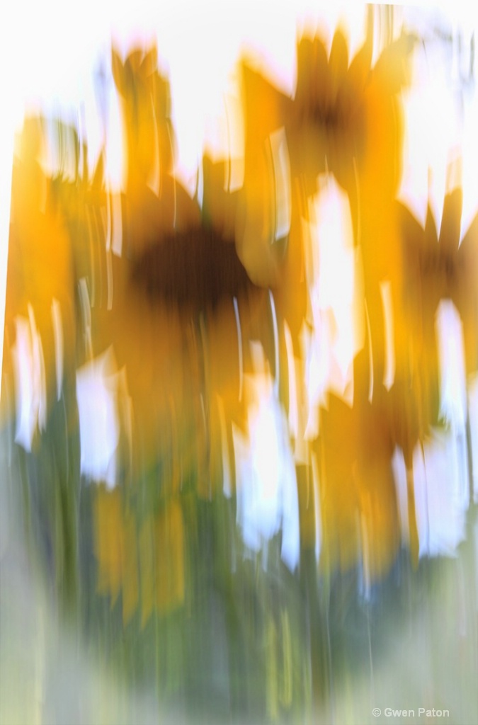 Sunflowers in Abstract