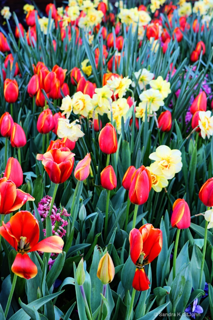 Spring Display Redo - ID: 15710860 © Sandra K. StJohn