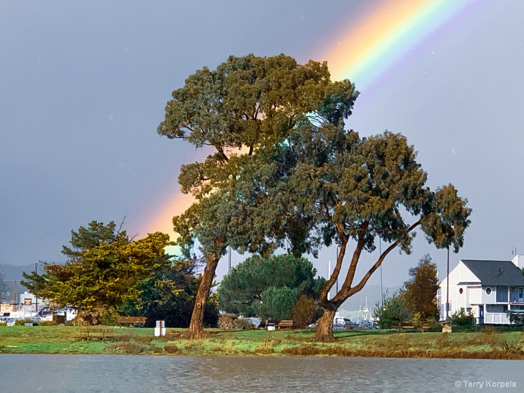 Rainbow over Martinez, California  - ID: 15711145 © Terry Korpela