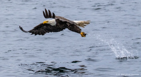 I'm Outta Here!