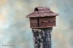 Rustic Bird House