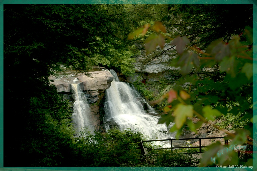 Blackwater Falls thru the trees. . .  - ID: 15711198 © Randall V. Rainey