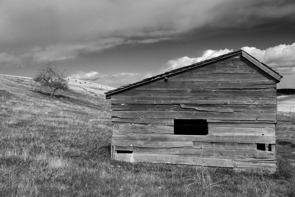 Shed on the Range