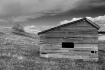 Shed on the Range