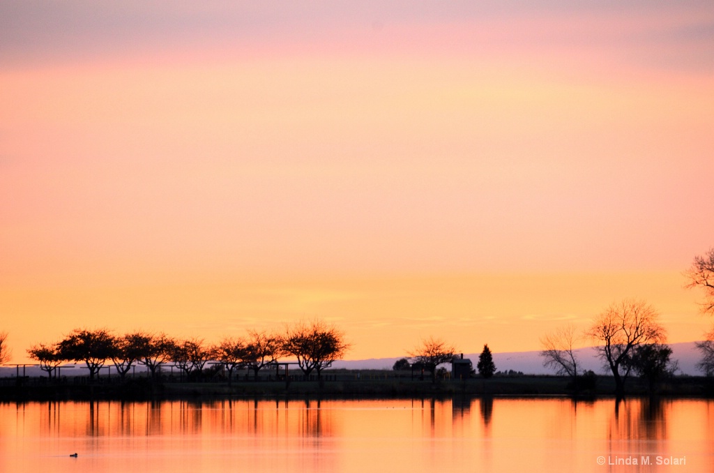 Silhouette Sunset 