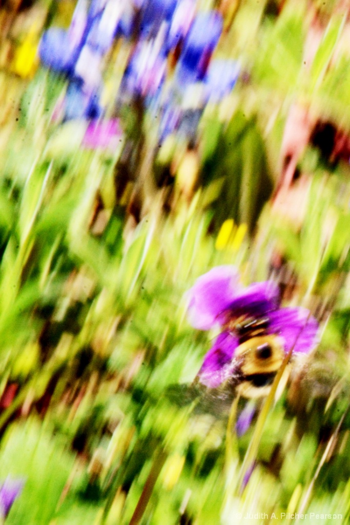 img9