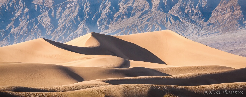 Mesquite Flat Sand Dune - ID: 15712746 © Fran  Bastress