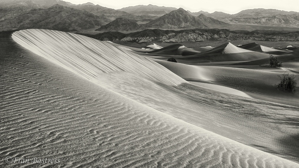 Mesquite Flat Sand Dunes - ID: 15712749 © Fran  Bastress