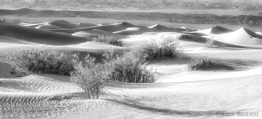 Mesquite Flat Sand Dunes - ID: 15712750 © Fran  Bastress